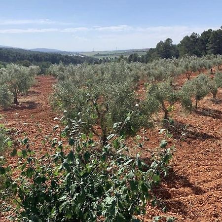 El-Cortijo Villa Siete Aguas ภายนอก รูปภาพ