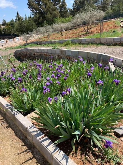 El-Cortijo Villa Siete Aguas ภายนอก รูปภาพ