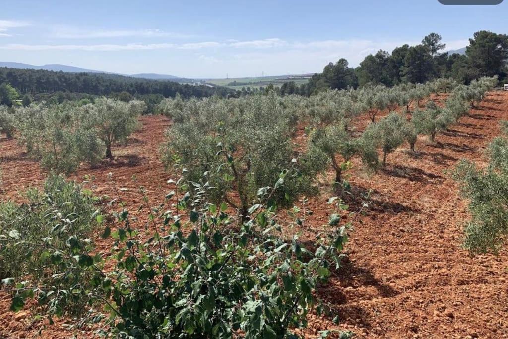 El-Cortijo Villa Siete Aguas ภายนอก รูปภาพ
