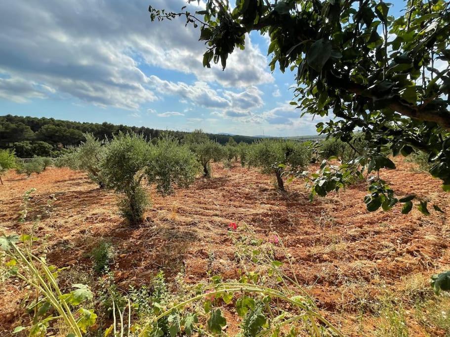 El-Cortijo Villa Siete Aguas ภายนอก รูปภาพ